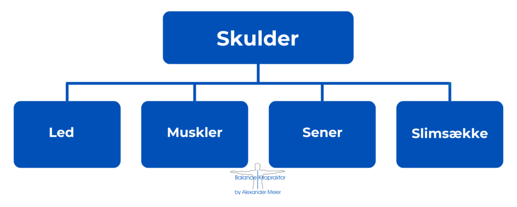 Skulderens dele_grafik © Balance Kiropraktor